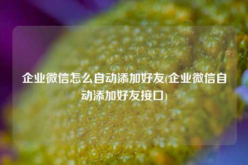 企业微信怎么自动添加好友(企业微信自动添加好友接口)