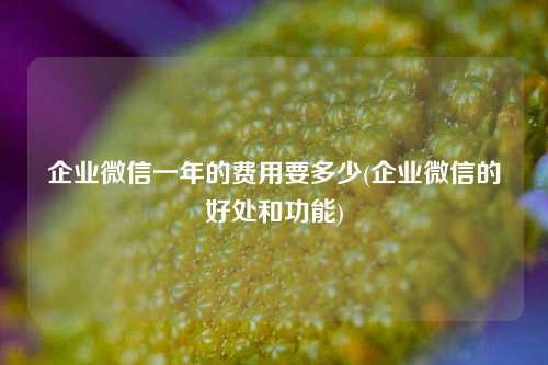 企业微信一年的费用要多少(企业微信的好处和功能)