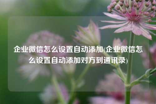 企业微信怎么设置自动添加(企业微信怎么设置自动添加对方到通讯录)