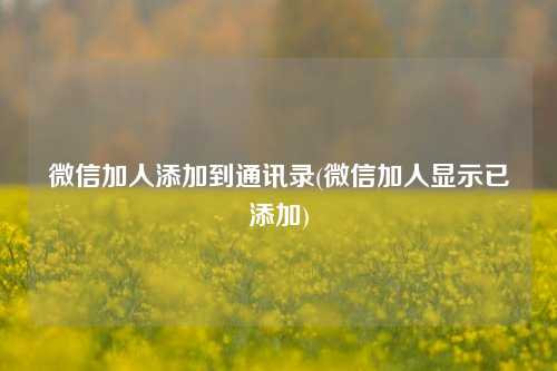 微信加人添加到通讯录(微信加人显示已添加)