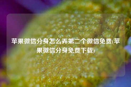 苹果微信分身怎么弄第二个微信免费(苹果微信分身免费下载)