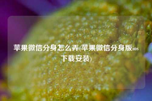 苹果微信分身怎么弄(苹果微信分身版ios下载安装)