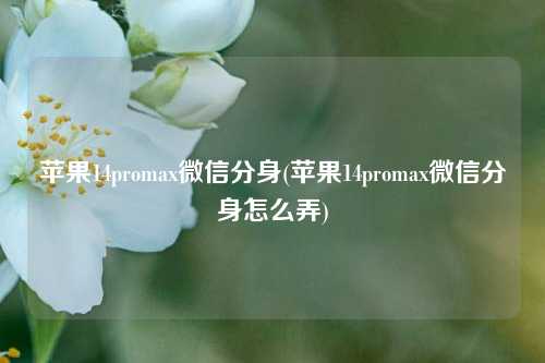 苹果14promax微信分身(苹果14promax微信分身怎么弄)