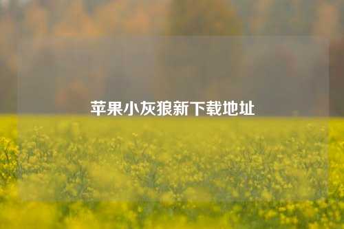 苹果小灰狼新下载地址