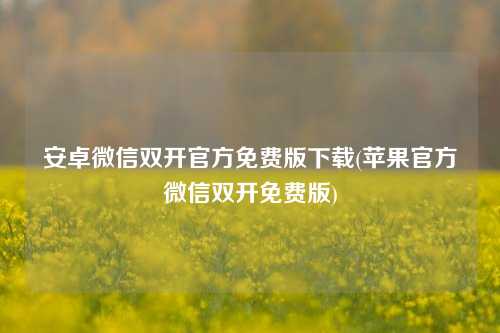 安卓微信双开官方免费版下载(苹果官方微信双开免费版)