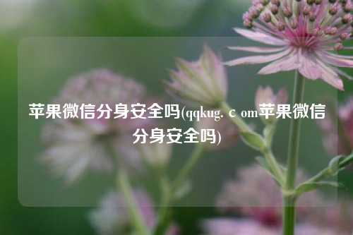 苹果微信分身安全吗(qqkug.сom苹果微信分身安全吗)