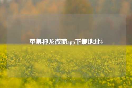 苹果神龙微商app下载地址4