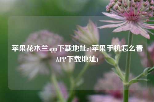 苹果花木兰app下载地址z(苹果手机怎么看APP下载地址)