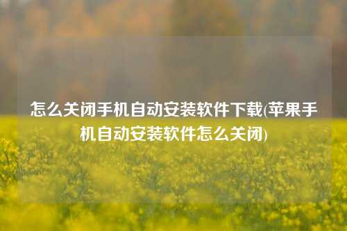 怎么关闭手机自动安装软件下载(苹果手机自动安装软件怎么关闭)