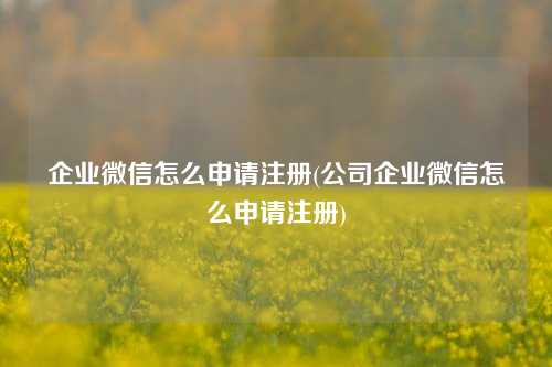 企业微信怎么申请注册(公司企业微信怎么申请注册)