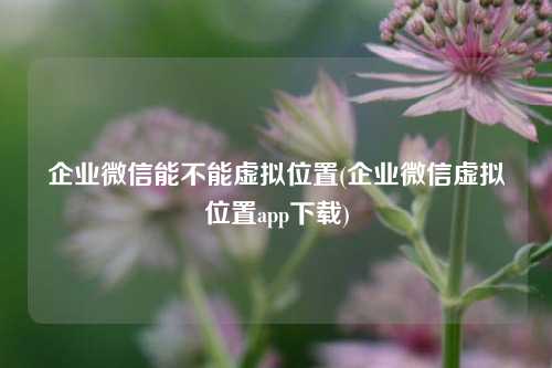 企业微信能不能虚拟位置(企业微信虚拟位置app下载)