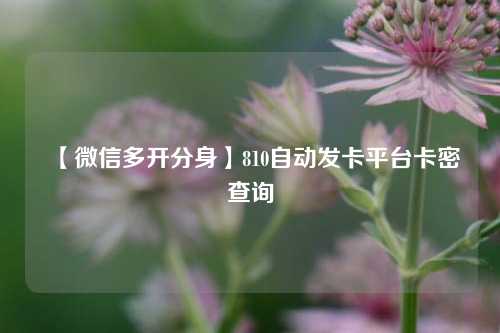 【微信多开分身】810自动发卡平台卡密查询