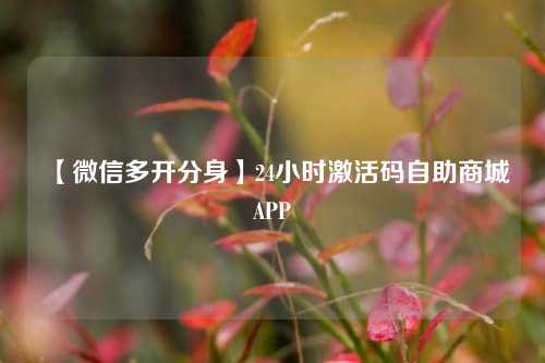 【微信多开分身】24小时激活码自助商城APP