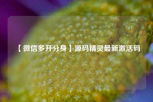 【微信多开分身】源码精灵最新激活码