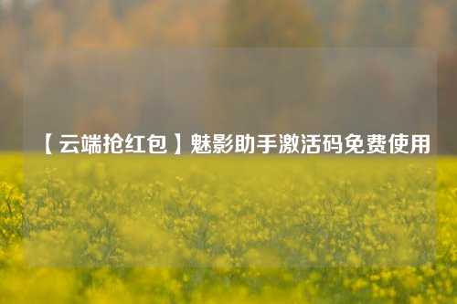 【云端抢红包】魅影助手激活码免费使用