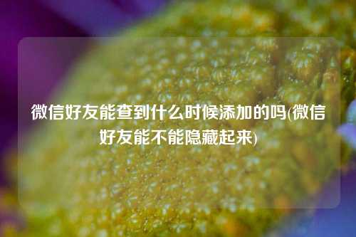 微信好友能查到什么时候添加的吗(微信好友能不能隐藏起来)