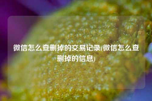 微信怎么查删掉的交易记录(微信怎么查删掉的信息)