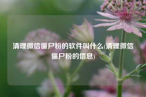 清理微信僵尸粉的软件叫什么(清理微信僵尸粉的信息)