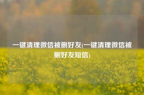 一键清理微信被删好友(一键清理微信被删好友短信)