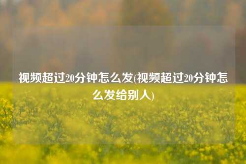 视频超过20分钟怎么发(视频超过20分钟怎么发给别人)