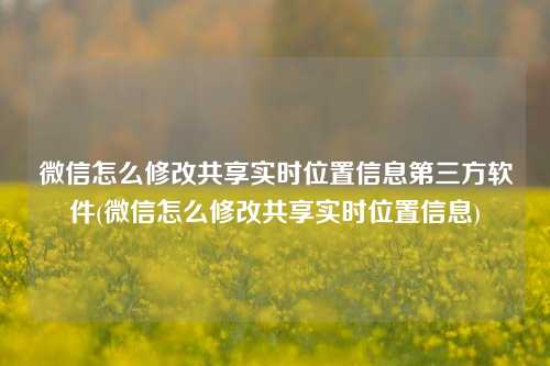 微信怎么修改共享实时位置信息第三方软件(微信怎么修改共享实时位置信息)