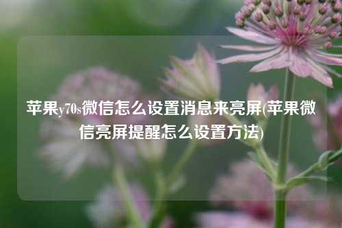 苹果y70s微信怎么设置消息来亮屏(苹果微信亮屏提醒怎么设置方法)