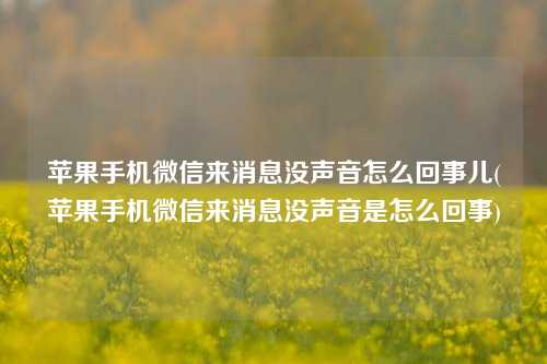 苹果手机微信来消息没声音怎么回事儿(苹果手机微信来消息没声音是怎么回事)