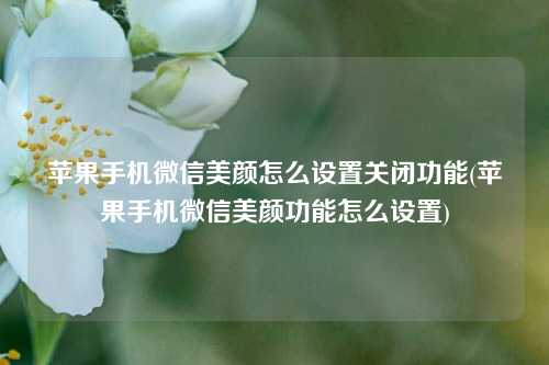 苹果手机微信美颜怎么设置关闭功能(苹果手机微信美颜功能怎么设置)