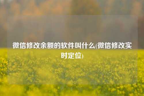 微信修改余额的软件叫什么(微信修改实时定位)