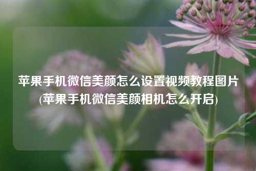 苹果手机微信美颜怎么设置视频教程图片(苹果手机微信美颜相机怎么开启)