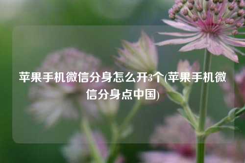 苹果手机微信分身怎么开3个(苹果手机微信分身点中国)