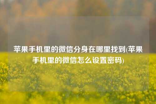 苹果手机里的微信分身在哪里找到(苹果手机里的微信怎么设置密码)