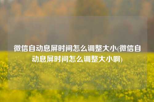 微信自动息屏时间怎么调整大小(微信自动息屏时间怎么调整大小啊)