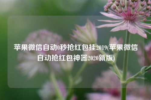 苹果微信自动0秒抢红包挂2019(苹果微信自动抢红包神器2020新版)