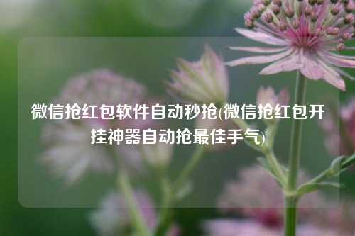 微信抢红包软件自动秒抢(微信抢红包开挂神器自动抢最佳手气)