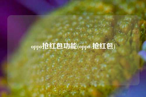 oppo抢红包功能(oppo 抢红包)