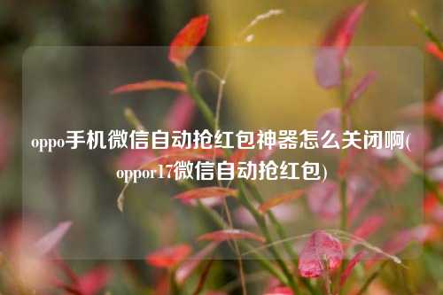 oppo手机微信自动抢红包神器怎么关闭啊(oppor17微信自动抢红包)