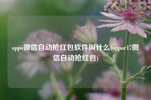 oppo微信自动抢红包软件叫什么(oppor17微信自动抢红包)