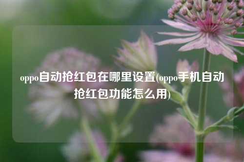 oppo自动抢红包在哪里设置(oppo手机自动抢红包功能怎么用)