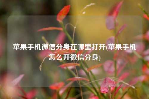 苹果手机微信分身在哪里打开(苹果手机怎么开微信分身)