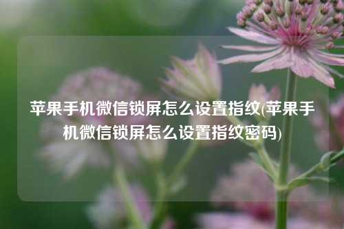 苹果手机微信锁屏怎么设置指纹(苹果手机微信锁屏怎么设置指纹密码)