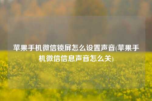 苹果手机微信锁屏怎么设置声音(苹果手机微信信息声音怎么关)