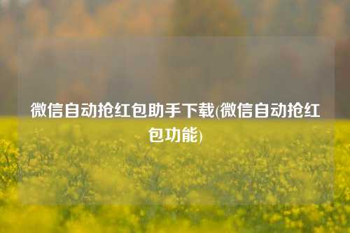 微信自动抢红包助手下载(微信自动抢红包功能)