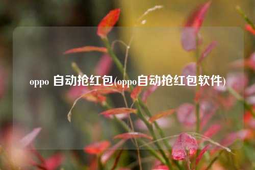 oppo 自动抢红包(oppo自动抢红包软件)