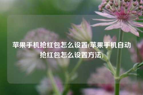 苹果手机抢红包怎么设置(苹果手机自动抢红包怎么设置方法)