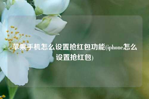 苹果手机怎么设置抢红包功能(iphone怎么设置抢红包)