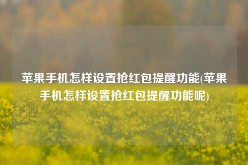 苹果手机怎样设置抢红包提醒功能(苹果手机怎样设置抢红包提醒功能呢)