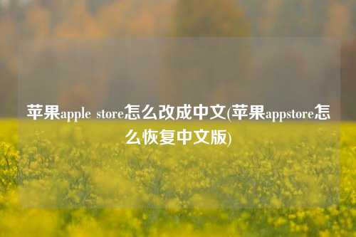 苹果apple store怎么改成中文(苹果appstore怎么恢复中文版)