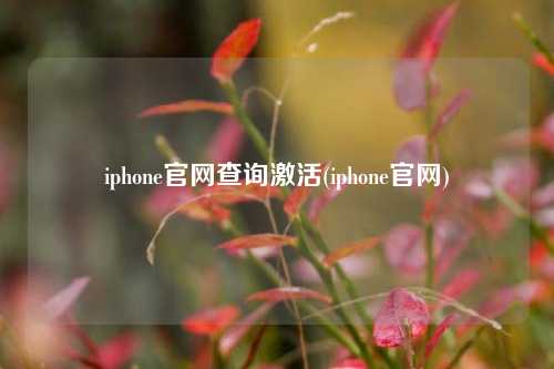 iphone官网查询激活(iphone官网)