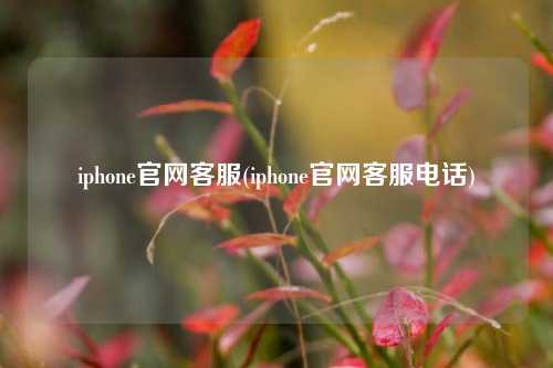 iphone官网客服(iphone官网客服电话)